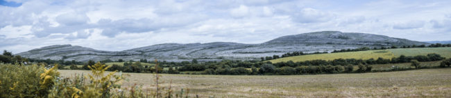 Glenroe, Ireland - GPS 53.012500, -9.026945 - Panasonic Lumix GX8 + Panasonic Lumix G Vario 12-35mm/2,8 OIS - 70mm - 1/1250 - f/2.8 - ISO200