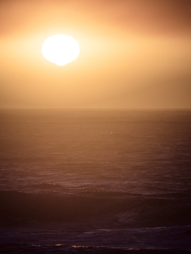 Navidad, Chile - GPS -33.914758, -71.845773 - Panasonic Lumix GX8 + Panasonic Leica DG Vario-Elmar 100-400mm f/4-6.3 ASPH - 500mm - 1/320 - f/8.0 - ISO100