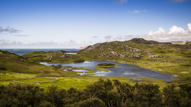Heilam, United Kingdom - GPS 58.504035, -4.651748 - Panasonic Lumix DMC-GH5 + Panasonic Lumix G Vario 12-35mm/2,8 OIS - 30mm - 1/1250 - f/2.8 - ISO200