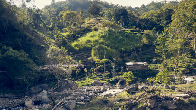 Herradura, Costa Rica - GPS 9.477307, -83.593152 - Panasonic Lumix GX8 + LUMIX G VARIO 12-35/F2.8 - 24mm - 1/80 - f/8.0 - ISO200