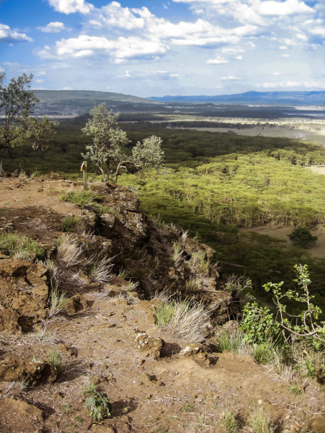 Lake Nakuru, Kenya - GPS -0.310855, 36.083425 - Canon DIGITAL IXUS 700 + Canon 37-111mm, F2,8-4,9 -  - 0/1 - f/8.0 - ISO100