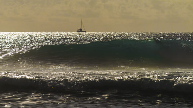 Lotissement Bellevue, Ile De La Reunion - GPS -21.111333, 55.254437 - Canon EOS 7D + Canon EF 70-200mm f/4 USM L IS -  - 1/4000 - f/5.0 - ISO100