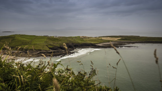 Muckros, Ireland - GPS 54.617447, -8.590002 - Panasonic Lumix GX8 + Panasonic Lumix G Vario 12-35mm/2,8 OIS - 30mm - 1/2000 - f/2.8 - ISO200