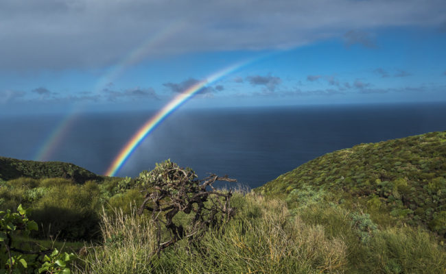 La Verada, Spain - GPS 28.800872, -17.968247 - Panasonic GH4 + Panasonic Lumix G Vario 12-35mm/2,8 OIS - 24mm - 1/250 - f/8.0 - ISO200