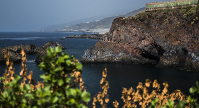 Las Indias, Spain - GPS 28.514433, -17.875387 - Panasonic GH4 + Panasonic Lumix G Vario 12-35mm/2,8 OIS - 70mm - 1/1600 - f/2.8 - ISO200