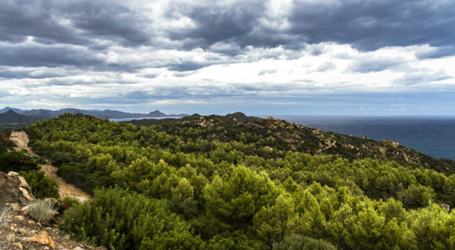 Is Traias, Italy - GPS 39.162065, 9.563055 - Canon EOS 7D + Sigma 17-50mm, F2,8 EX DC OS HSM -  - 1/60 - f/8.0 - ISO100