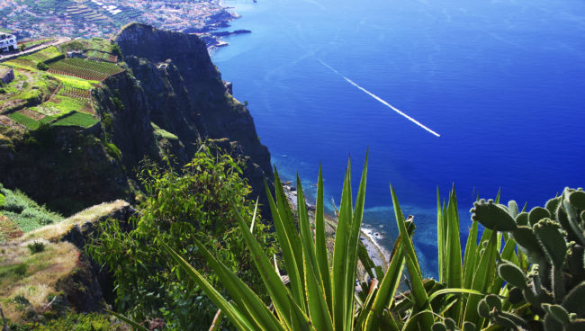 Quinta Grande, Portugal - GPS 32.656112, -17.009778 - Canon EOS 7D + Canon EF-S 17-85mm f/4-5.6 IS USM -  - 0/1 - f/8.0 - ISO100