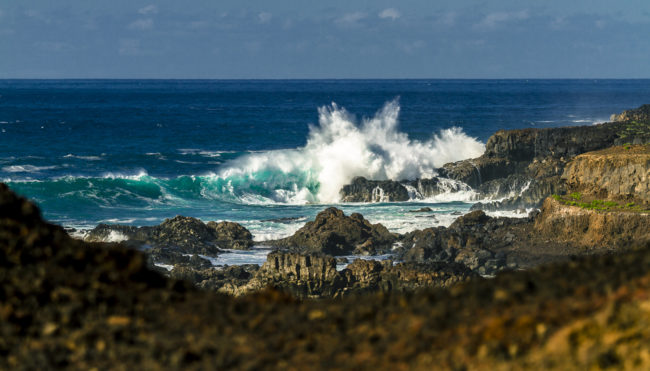 Los Carrizales, Spain - GPS 28.342537, -16.920868 - Canon EOS 7D + Canon EF 70-200mm f/4 USM L IS -  - 1/640 - f/4.0 - ISO100