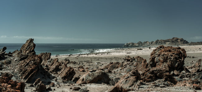 Puerto Pan de Azúcar, Chile - GPS -26.161703, -70.664410 - Sony A7III + SONY FE 24-105mm, F4 G OSS - 43mm - 1/500 - f/4.0 - ISO100