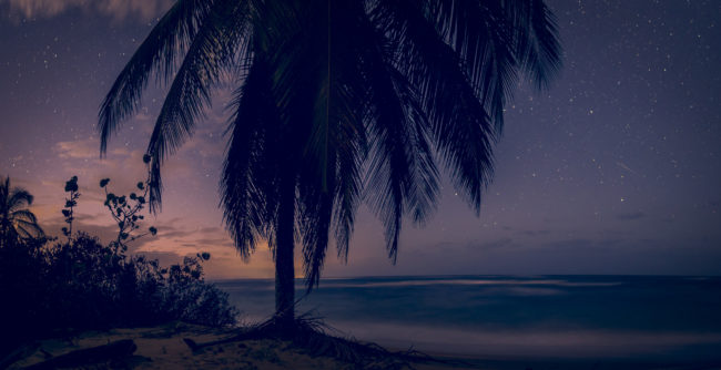 Manzanillo, Costa Rica - GPS 9.643765, -82.686225 - Panasonic Lumix DMC-GH5 + LEICA DG SUMMILUX 12/F1.4 - 24mm - 20/1 - f/1.4 - ISO1600