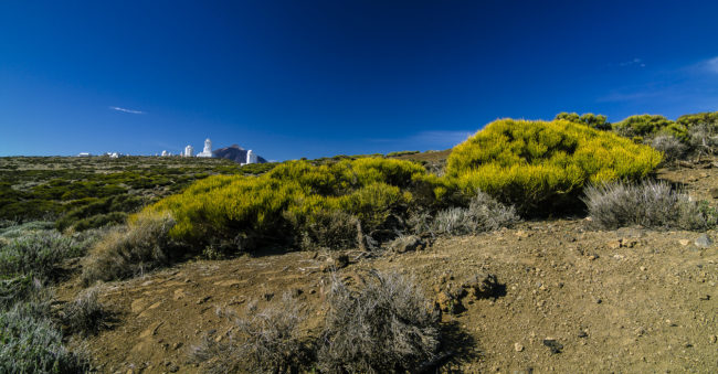 Aguamansa, Spain - GPS 28.304713, -16.502385 - Canon EOS 7D + Tokina AF 11-16mm f/2.8 AT-X Pro DX -  - 1/80 - f/8.0 - ISO100