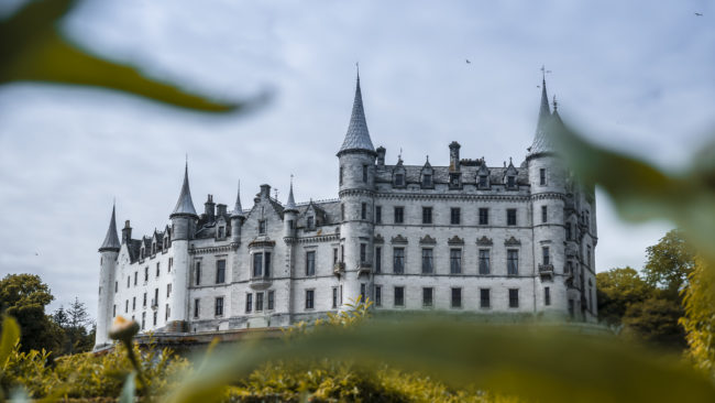 Backies, United Kingdom - GPS 57.982778, -3.946112 - Panasonic Lumix DMC-GH5 + Panasonic Lumix G Vario 12-35mm/2,8 OIS - 58mm - 1/1000 - f/8.0 - ISO200