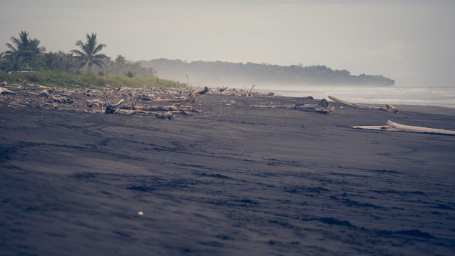 Playa Hermosa, Costa Rica - GPS 9.557972, -84.580110 - Panasonic Lumix DMC-GH5 + LEICA DG 100-400/F4.0-6.3 - 200mm - 1/125 - f/4.0 - ISO100