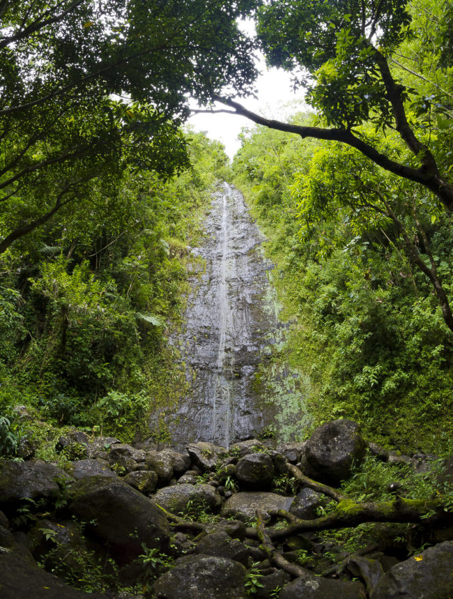 Manoa, Hawaii - GPS 21.341612, -157.802313 - Canon EOS 7D + Tokina AF 11-16mm f/2.8 AT-X Pro DX -  - 1/40 - f/11.0 - ISO640