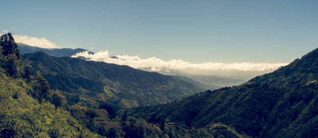 Piedra, Costa Rica - GPS 9.507778, -83.683612 - Panasonic Lumix DMC-GH5 + LUMIX G VARIO 12-35/F2.8 - 42mm - 1/125 - f/8.0 - ISO100