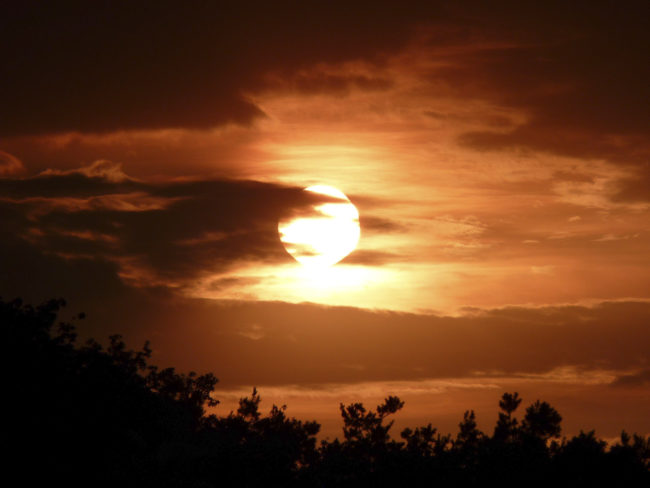 Westerhausen, Germany - GPS 52.510067, 8.052102 - Canon EOS 7D + Sigma AF 24-70mm f/2.8 EX DG macro -  - 1/100 - f/8.0 - ISO100