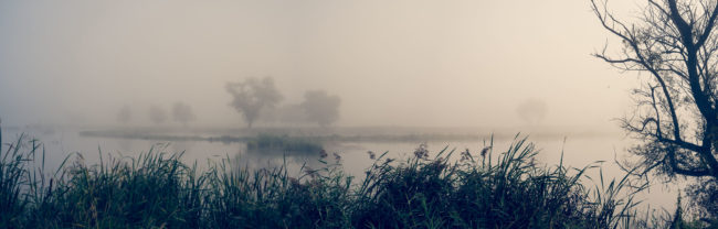 Bradu, Romania - GPS 45.727353, 24.348544 - Sony A7III + SONY FE 24-105mm, F4 G OSS - 40mm - 1/200 - f/4.0 - ISO100