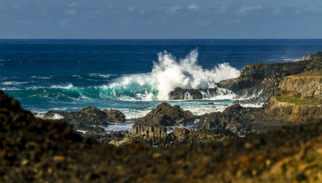 Los Carrizales, Spain - GPS 28.342537, -16.920868 - Canon EOS 7D + Canon EF 70-200mm f/4 USM L IS -  - 1/640 - f/4.0 - ISO100