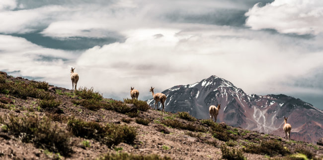 Zorras, Chile - GPS -24.600638, -68.212820 - Sony A7III + SONY FE 24-105mm, F4 G OSS - 105mm - 1/500 - f/4.0 - ISO100