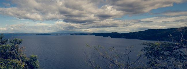 Matapalo, Costa Rica - GPS 10.535278, -85.767222 - Panasonic Lumix DMC-GH5 + LUMIX G VARIO 12-35/F2.8 - 46mm - 1/250 - f/8.0 - ISO100