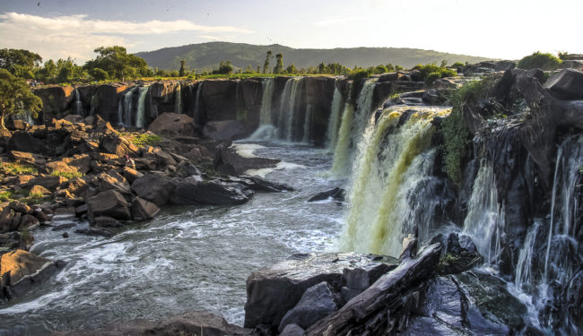 Kilima Mbogo, Kenya - GPS -1.076785, 37.253393 - Canon EOS 20D + Canon EF-S 17-85mm f/4-5.6 IS USM -  - 1/100 - f/8.0 - ISO100