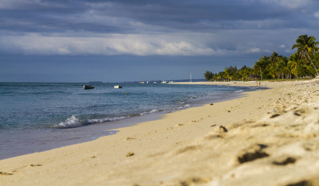 Labonté, Mauritius - GPS -20.451537, 57.313028 - Canon EOS 7D + Canon EF 70-200mm f/4 USM L IS -  - 1/800 - f/4.0 - ISO100