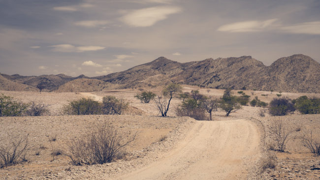 Sesfontein, Namibia - GPS -19.063586, 13.518910 - Sony A7III + SONY FE 24-105mm, F4 G OSS - 60mm - 1/200 - f/8.0 - ISO100