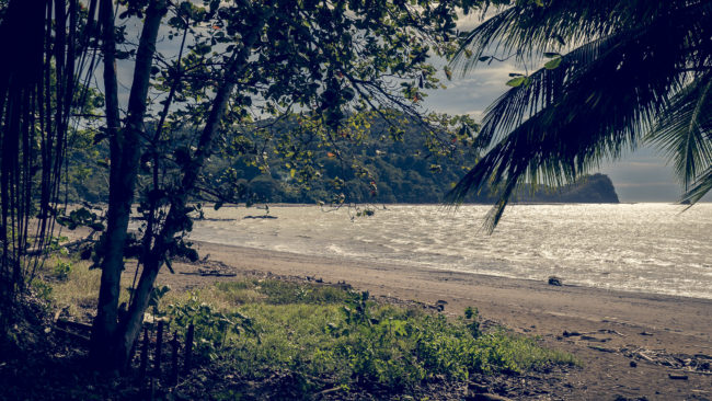 Pital, Costa Rica - GPS 9.746175, -84.630895 - Panasonic Lumix DMC-GH5 + LUMIX G VARIO 12-35/F2.8 - 42mm - 1/125 - f/8.0 - ISO100