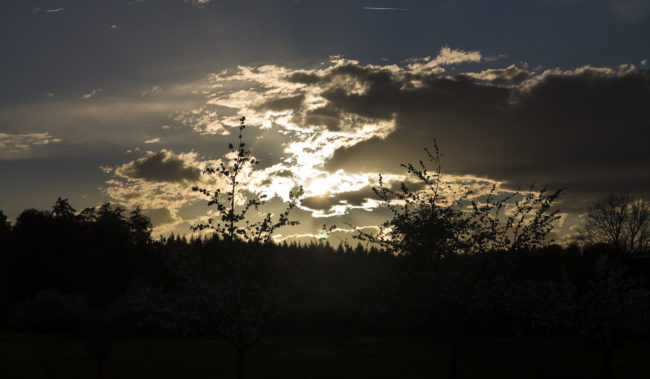 Kaltbrunn, Germany - GPS 47.742173, 9.044195 - Canon EOS 1100D + Tamron AF 17-50mm 2,8 XR Di II LD ASL -  - 1/500 - f/11.0 - ISO100
