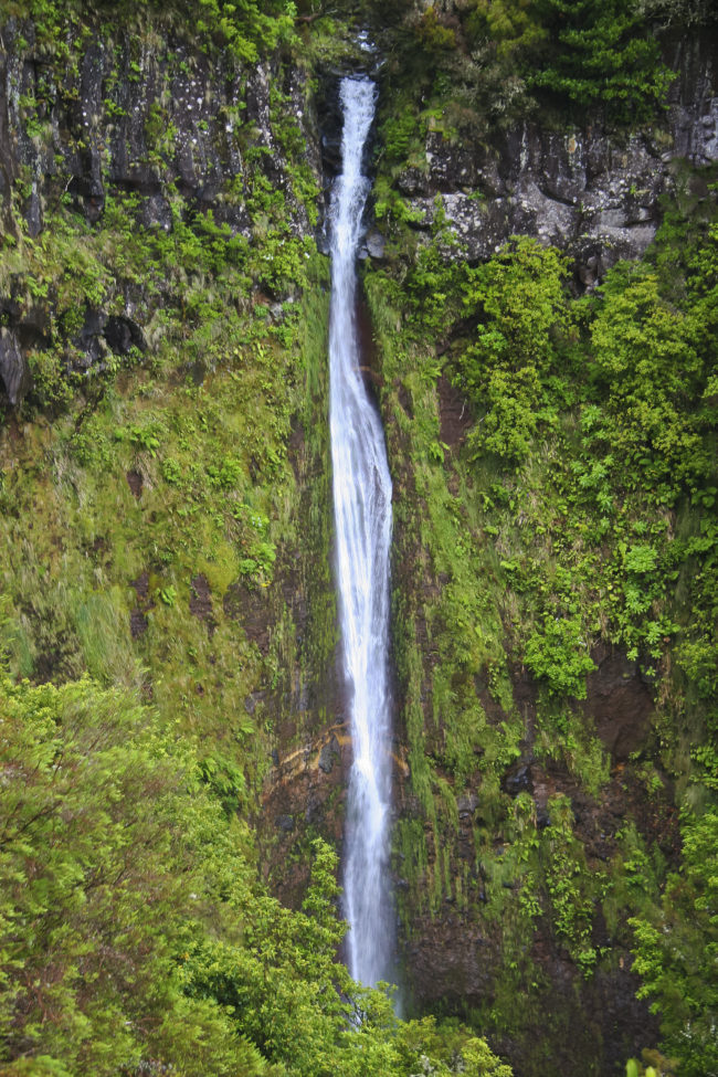 Terreiro da Luta, Portugal - GPS 32.684148, -16.898807 - Canon EOS 7D + Canon EF-S 17-85mm f/4-5.6 IS USM -  - 0/1 - f/8.0 - ISO100
