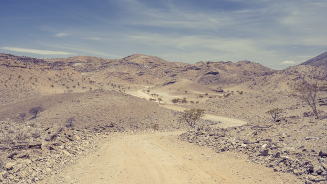 Sesfontein, Namibia - GPS -19.080089, 13.568961 - Sony A7III + SONY FE 24-105mm, F4 G OSS - 43mm - 1/160 - f/9.0 - ISO100