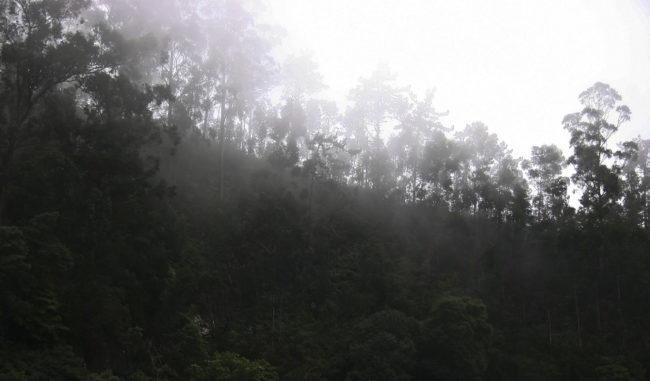 Terreiro da Luta, Portugal - GPS 32.684148, -16.898807 - Canon EOS 7D + Canon EF-S 17-85mm f/4-5.6 IS USM -  - 0/1 - f/8.0 - ISO100