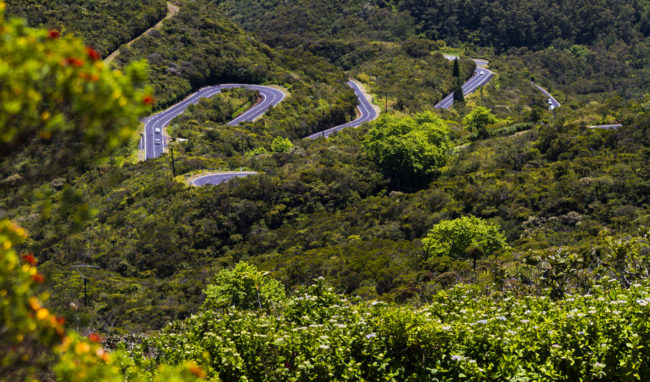 Maison Henou, Réunion - GPS -21.163050, 55.590692 - Canon EOS 7D + Canon EF 70-200mm f/4 USM L IS -  - 1/250 - f/4.0 - ISO100