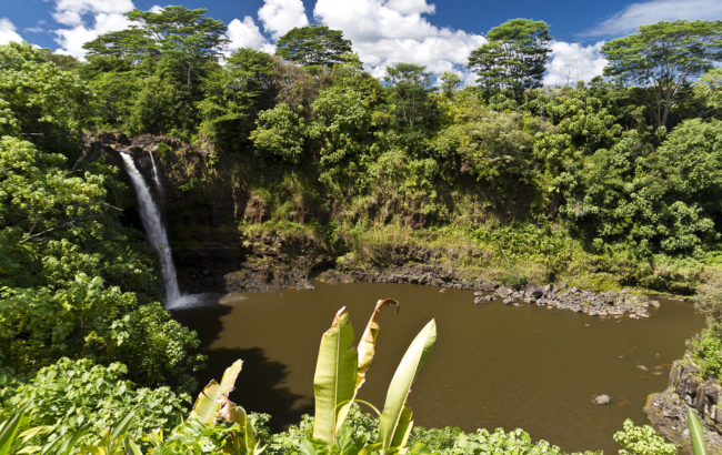 Ponahawai Ahupua`a, Hawaii - GPS 19.719163, -155.108647 - Canon EOS 7D + Sigma 17-50mm, F2,8 EX DC OS HSM -  - 1/250 - f/2.8 - ISO100