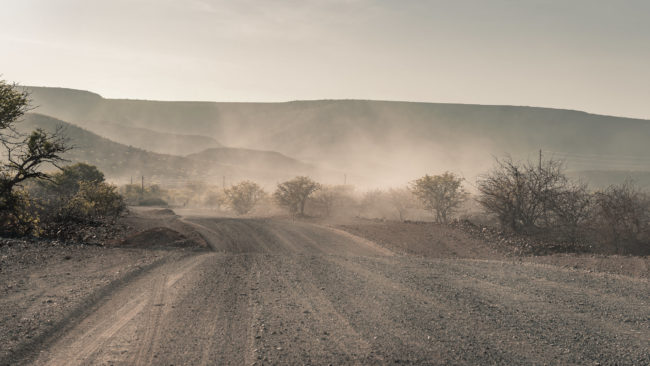 Palm, Namibia - GPS -19.970545, 14.020060 - Sony A7III + SONY FE 24-105mm, F4 G OSS - 105mm - 1/200 - f/8.0 - ISO125