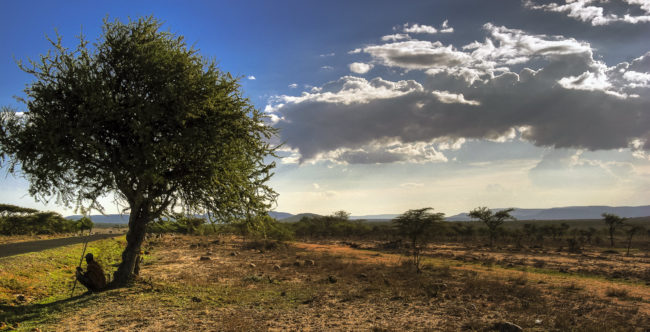 Lari, Kenya - GPS -1.022812, 36.621658 - Canon EOS 20D + Canon EF-S 17-85mm f/4-5.6 IS USM & Canon EF 70-300mm f/4-5.6 IS USM -  - 0/1 - f/8.0 - ISO100