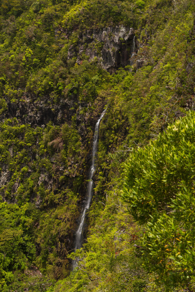 Valruche, Mauritius - GPS -20.422990, 57.429965 - Canon EOS 7D + Canon EF 70-200mm f/4 USM L IS -  - 1/80 - f/8.0 - ISO100