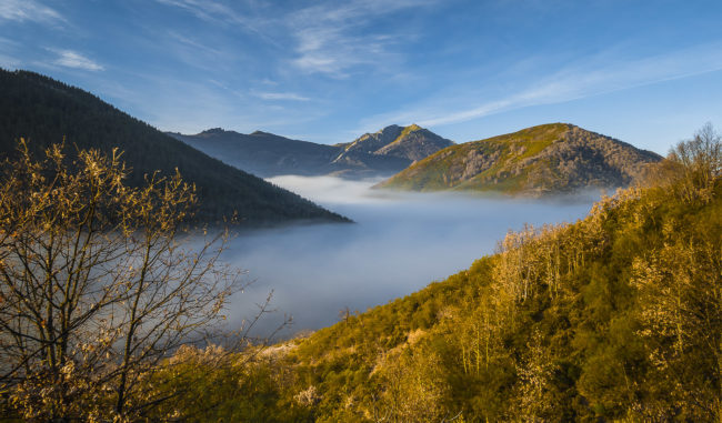 Salio, Spain - GPS 42.951068, -4.963787 - Panasonic GH4 + Panasonic Lumix G Vario 12-35mm/2,8 OIS - 24mm - 1/50 - f/8.0 - ISO200