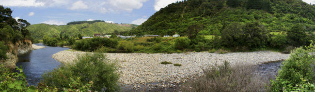 New Zealand, New Zealand - GPS -41.135297, 175.015548 - Canon EOS 20D + Canon EF-S 17-85mm f/4-5.6 IS USM -  - 0/1 - f/8.0 - ISO100