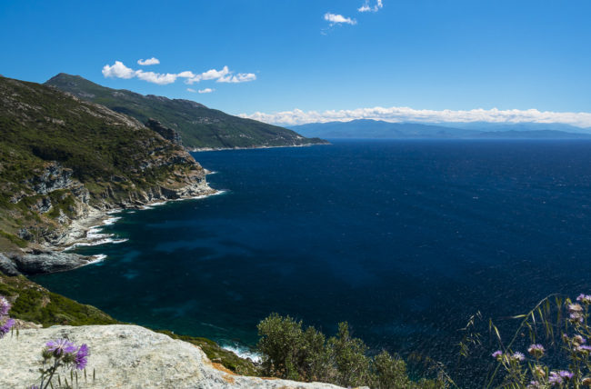 Minerviu, France - GPS 42.893290, 9.325577 - Panasonic GH4 + Panasonic Lumix G Vario 12-35mm/2,8 OIS - 24mm - 1/160 - f/8.0 - ISO200