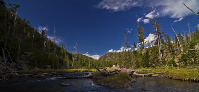 Canyon Junction, United States - GPS 44.712427, -110.735622 - Canon EOS 7D + Tokina AF 11-16mm f/2.8 AT-X Pro DX -  - 0/1 - f/8.0 - ISO100