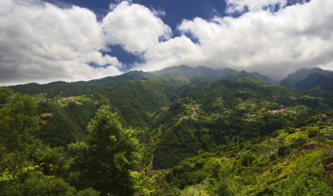 Ribeiro Frio, Portugal - GPS 32.741883, -16.883233 - Canon EOS 7D + Canon EF-S 17-85mm f/4-5.6 IS USM -  - 0/1 - f/8.0 - ISO100