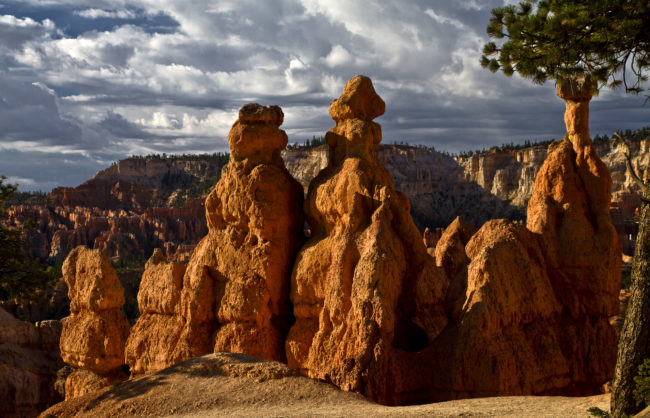 Bryce Canyon, United States - GPS 37.621762, -112.165893 - Canon EOS 7D + Sigma AF 24-70mm f/2.8 EX DG macro -  - 1/160 - f/7.1 - ISO100