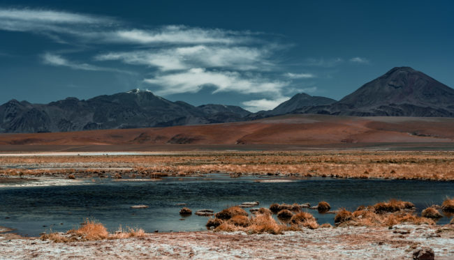 Lagunita, Chile - GPS -22.531968, -68.040557 - Sony A7III + SONY FE 24-105mm, F4 G OSS - 57mm - 1/640 - f/4.0 - ISO100