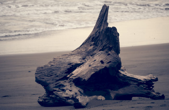 Playa Hermosa, Costa Rica - GPS 9.558008, -84.580182 - Panasonic Lumix DMC-GH5 + LEICA DG 100-400/F4.0-6.3 - 200mm - 1/100 - f/4.0 - ISO100