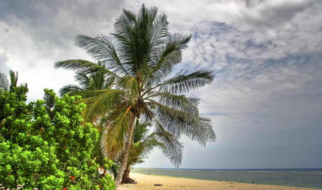 Tiwi, Kenya - GPS -4.241293, 39.602940 - Canon EOS 20D + Canon EF-S 17-85mm f/4-5.6 IS USM & Canon EF 70-300mm f/4-5.6 IS USM -  - 0/1 - f/8.0 - ISO100
