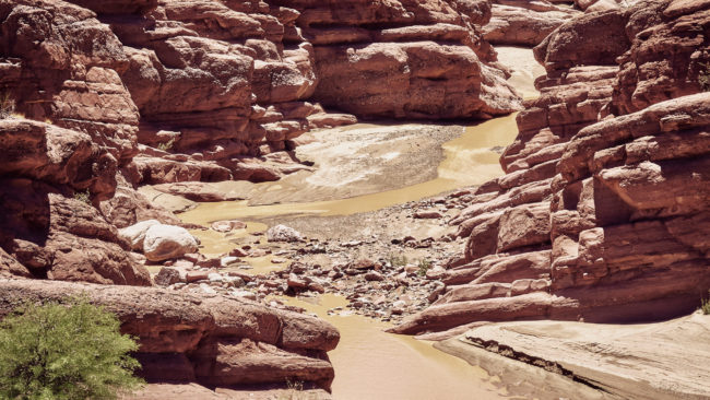 Ichigualasto, Argentina - GPS -30.137708, -68.015702 - Panasonic Lumix GX8 + Panasonic Leica DG Vario-Elmar 100-400mm f/4-6.3 ASPH - 200mm - 1/400 - f/5.3 - ISO100