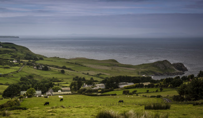 Torr, Ireland - GPS 55.177610, -6.060372 - Panasonic Lumix GX8 + Panasonic Lumix G Vario 12-35mm/2,8 OIS - 60mm - 1/250 - f/8.0 - ISO200