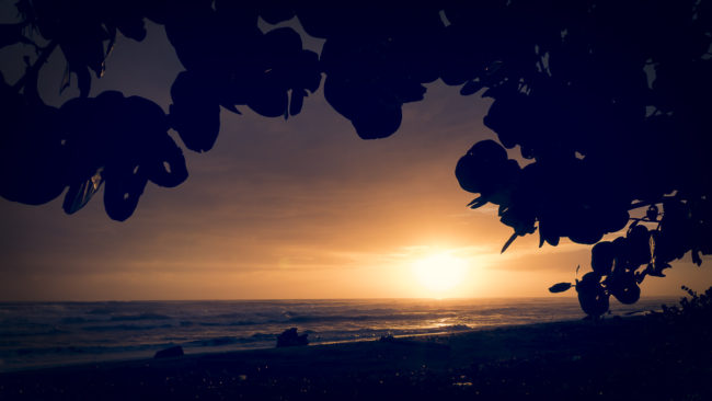 Bananito Sur, Costa Rica - GPS 9.903142, -82.979683 - Panasonic Lumix DMC-GH5 + Panasonic Lumix G Vario 12-35mm/2,8 OIS - 32mm - 1/50 - f/14.0 - ISO100