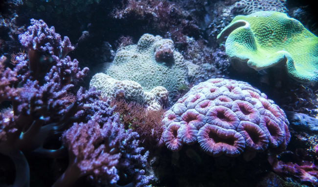 Bogatell Beach, Spain - GPS 41.376475, 2.184225 - SONY DSC-RX100 IV + 27-70mm F1.8-2.8 - 24mm - 1/100 - f/1.8 - ISO1600